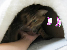IMG03006.jpg