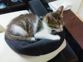 PA0_0280.jpg