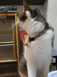 IMG03015.jpg