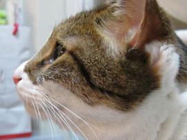 IMG03016.jpg