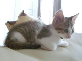 IMGP6116.jpg
