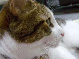 IMGP14368.jpg