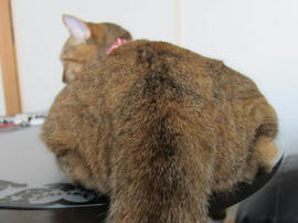 IMG03018.jpg