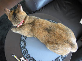IMG03020.jpg