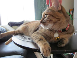 IMG03025.jpg