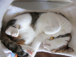 IMG03028.jpg