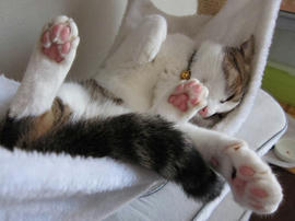 IMG03030.jpg