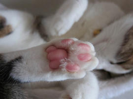 IMG03032.jpg