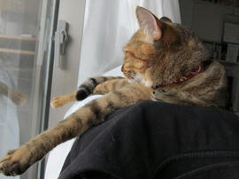 IMG03034.jpg
