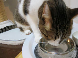 IMG03040.jpg