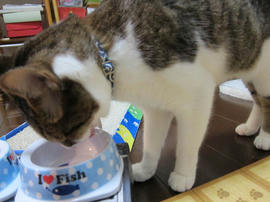 IMG03042.jpg
