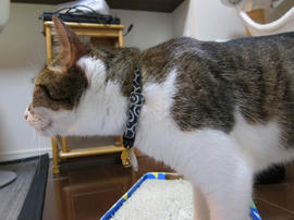 IMG03044.jpg