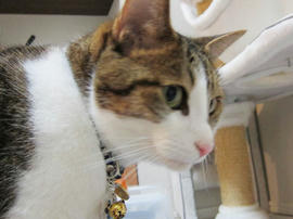 IMG03045.jpg