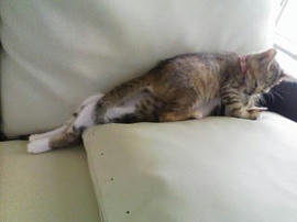 PA0_0270.jpg