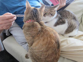 IMG03046.jpg