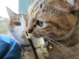 IMG03049.jpg