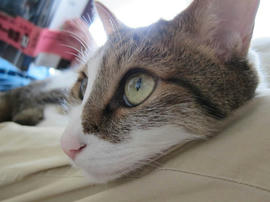 IMG03054.jpg