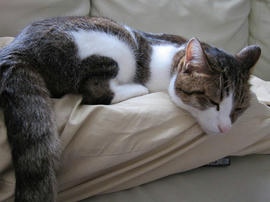 IMG03057.jpg