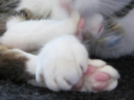 IMG03064.jpg