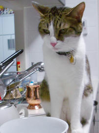 IMGP14393.jpg