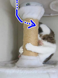 IMG03067.jpg