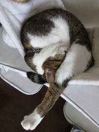 IMG03072.jpg