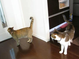 IMG03077.jpg
