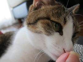 IMG03085.jpg