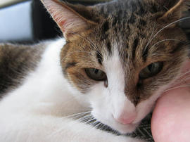 IMG03086.jpg