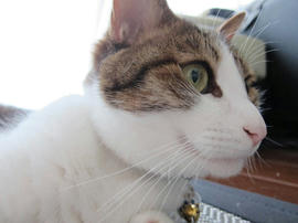 IMG03087.jpg