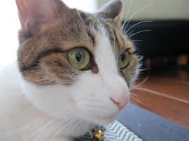 IMG03088.jpg