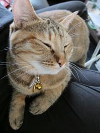 IMG03093.jpg
