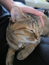 IMG03094.jpg