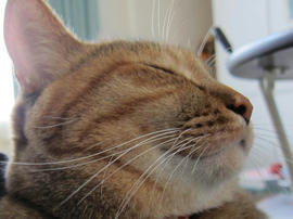 IMG03095.jpg