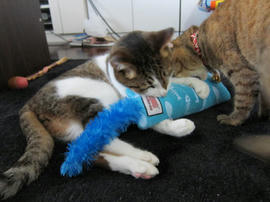 IMG03097.jpg