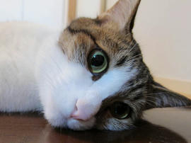 IMG03105.jpg