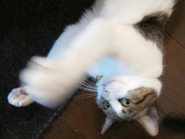 IMG03101.jpg