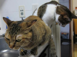 IMG03113.jpg