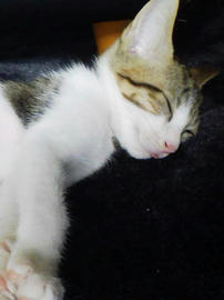 PAP_0338.jpg