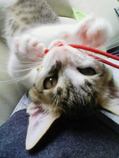 PA0_0237.jpg