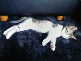 PA0_0232.jpg