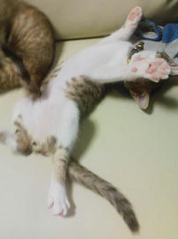 PAP_0346.jpg