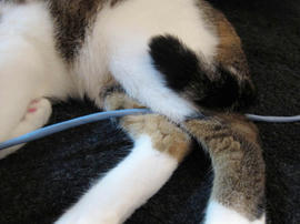 IMG03116.jpg