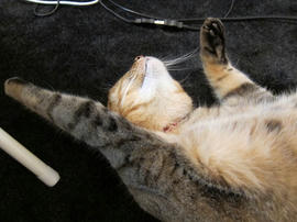 IMG03119.jpg