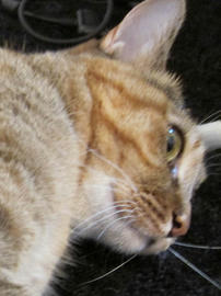 IMG03120.jpg