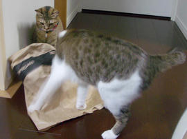 IMGP11832.jpg