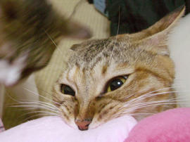 IMGP11881.jpg