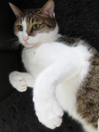 IMG03122.jpg