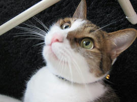 IMG03125.jpg