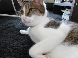 IMG03129.jpg